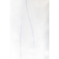MATERIJAL ZA ZAVESE bela - bela, Osnovno, tekstil (300cm)