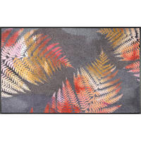 FUßMATTE  75/120 cm  Multicolor  - Multicolor, KONVENTIONELL, Kunststoff (75/120cm) - wash+dry