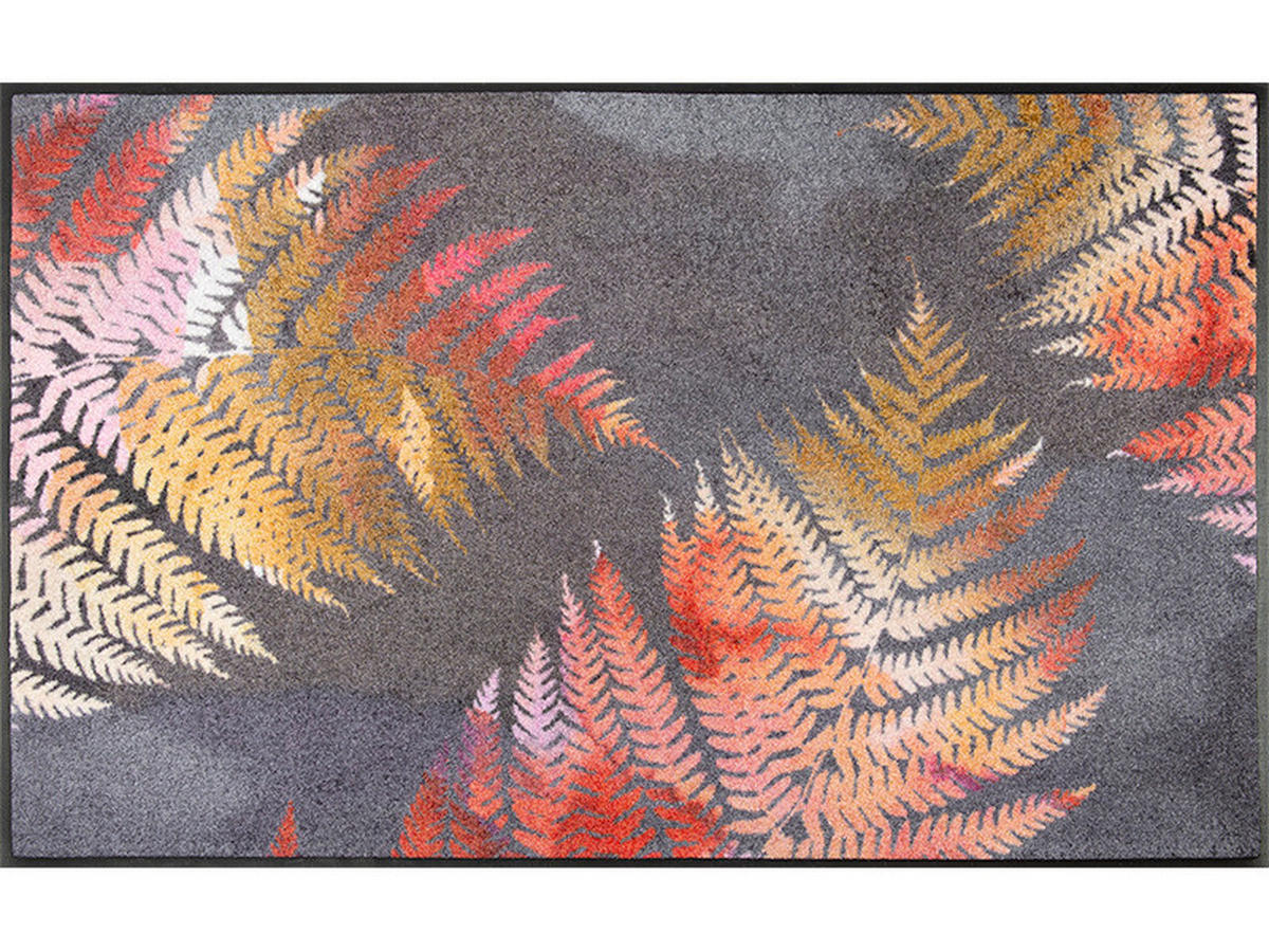 FUßMATTE  75/120 cm  Multicolor  - Multicolor, KONVENTIONELL, Kunststoff (75/120cm) - wash+dry