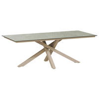 LOUNGETISCH  - Champagner/Grau, Basics, Kunststoff/Metall (180/100/75cm) - Tierra Outdoor