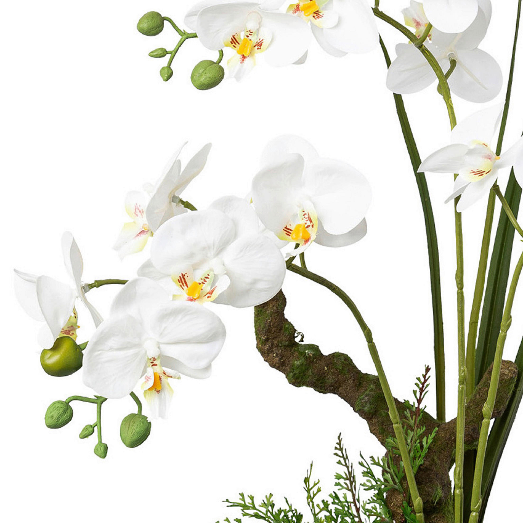 KUNSTPFLANZE Orchidee 46 cm  - Weiß/Grün, Design, Keramik/Kunststoff (46cm) - P & B