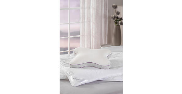 NACKENKISSEN 55/46 cm  - Weiß/Grau, Basics, Textil (55/46cm) - Sleeptex