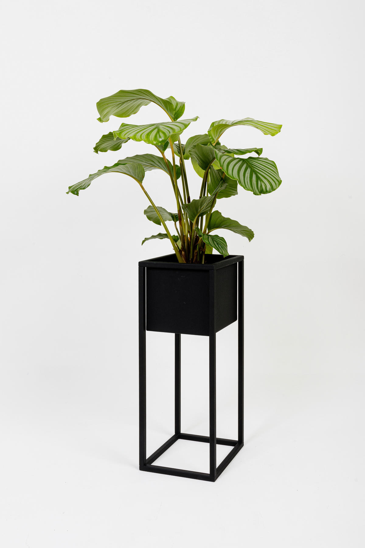 BLUMENSTÄNDER Metall  - Schwarz, Basics, Metall (23/60/23cm)