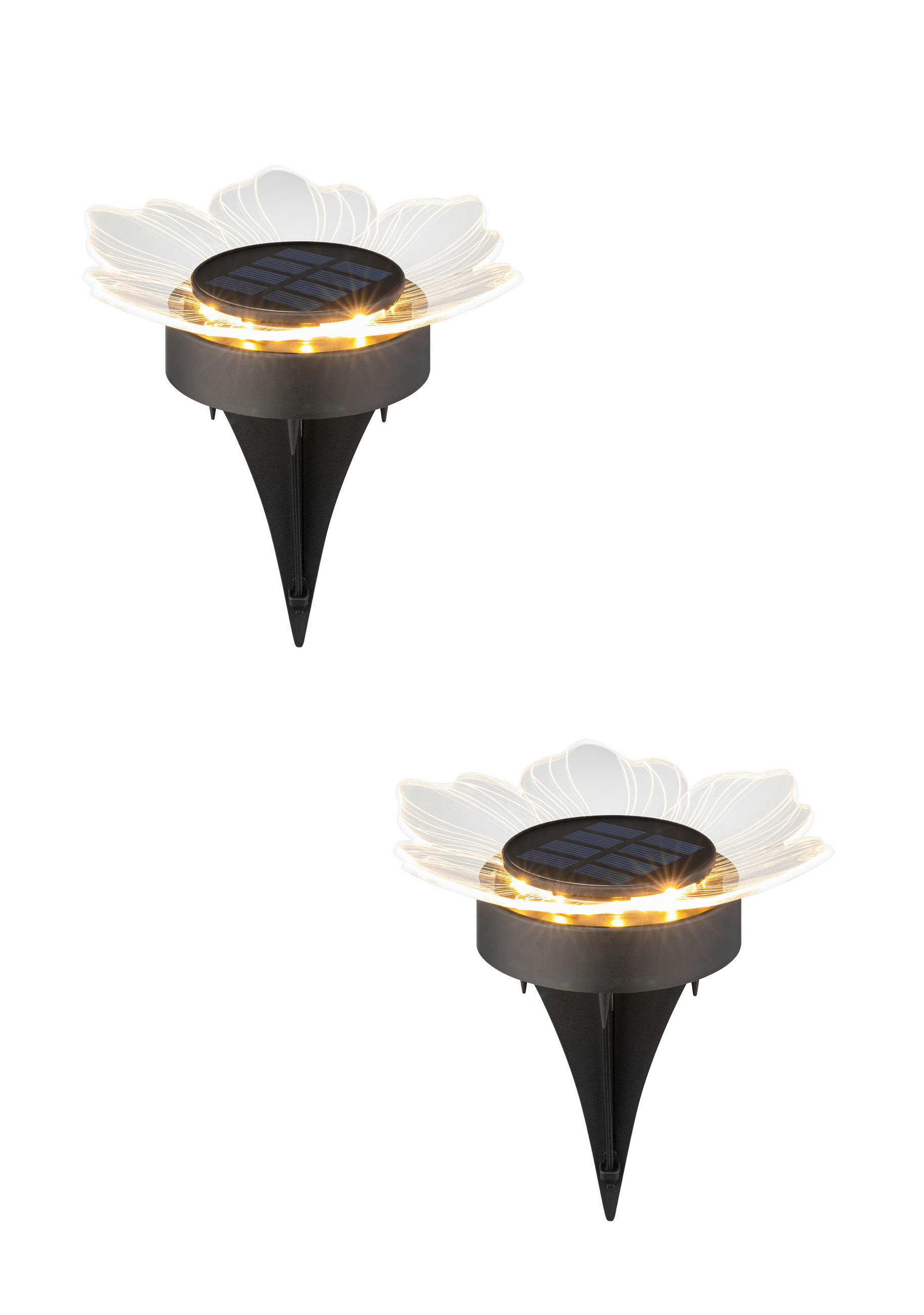 SOLARLEUCHTENSET Lisianthus 14/14 cm  - Transparent/Schwarz, Design, Kunststoff (14/14cm) - Ambia Garden