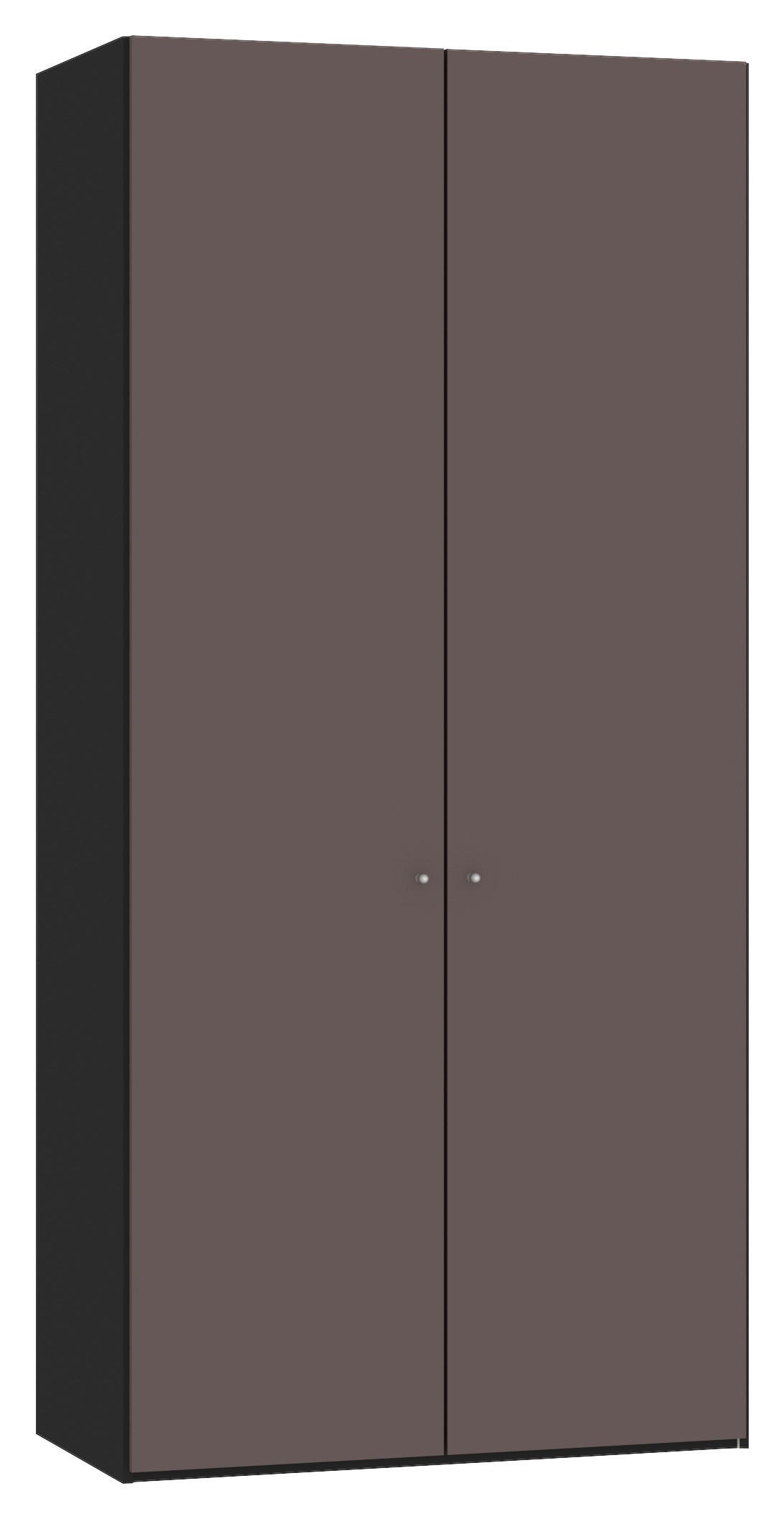 DREHTÜRENSCHRANK 102/220/59 cm,  in Schwarz, Braun, 2-türig  - Silberfarben/Schwarz, Design, Glas/Holzwerkstoff (102/220/59cm) - Jutzler