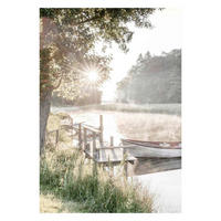 POSTER 50/70 cm  - Multicolor, Natur, Papier (50/70cm) - Reinders!