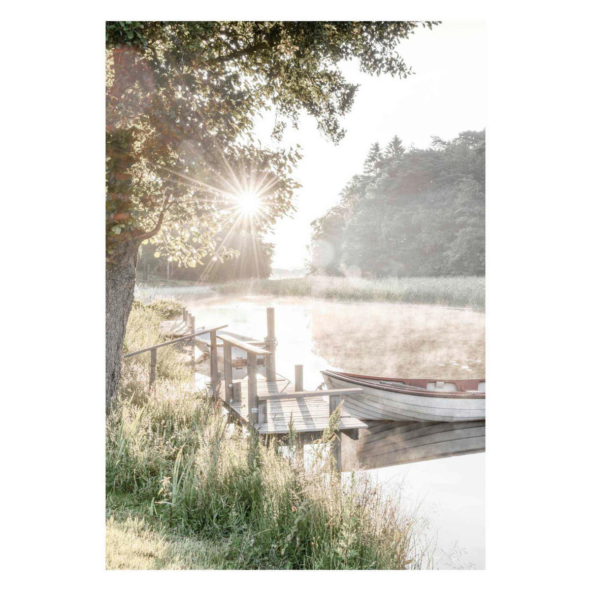 POSTER 50/70 cm  - Multicolor, Natur, Papier (50/70cm) - Reinders!