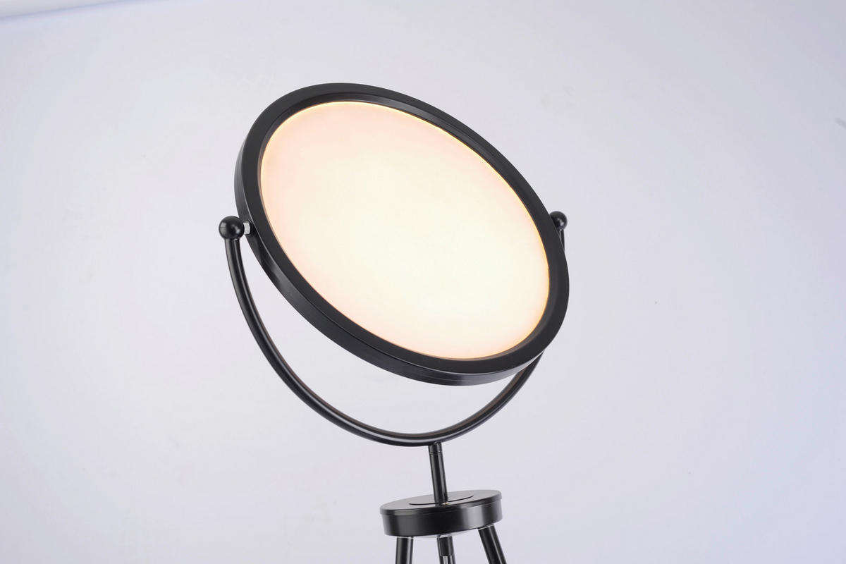 LED SVJETILJKA PODNA Carl  - crna, Design, metal/plastika (45/45/138-154cm)
