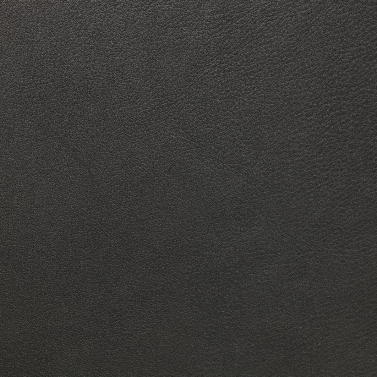RELAXSESSEL in Holz, Leder Schwarz, Dunkelgrau  - Dunkelgrau/Schwarz, Design, Leder/Holz (79/111/83cm) - Conform