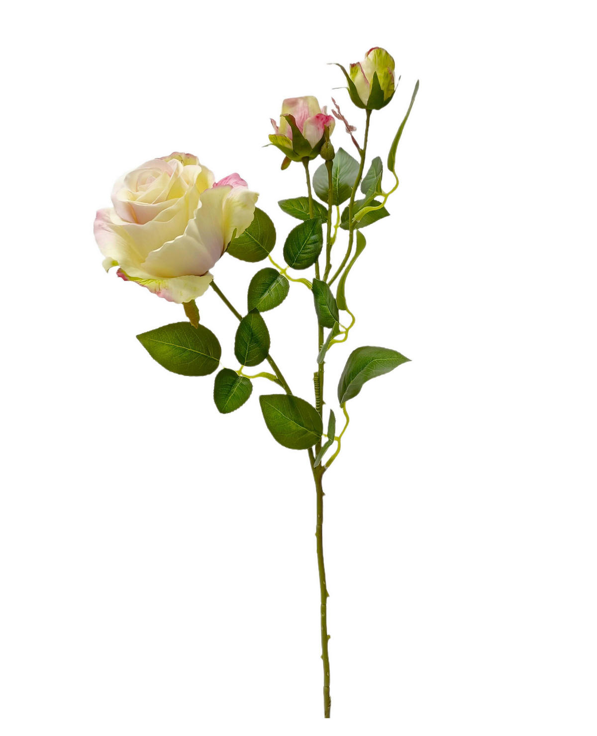 KUNSTBLUME  - Aprikose/Creme, Basics (67cm)