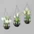 KUNSTBLUMENSET 3-TEILIG Schneeglöckchen - Weiß/Grün, Kunststoff (20cm) KUNSTBLUMENSET 3-TEILIG Schneeglöckchen - Weiß/Grün, Kunststoff (20cm)