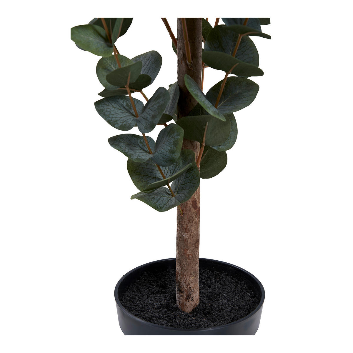 KONSTVÄXT eukalyptus  - grön, Design (46/120/36cm)