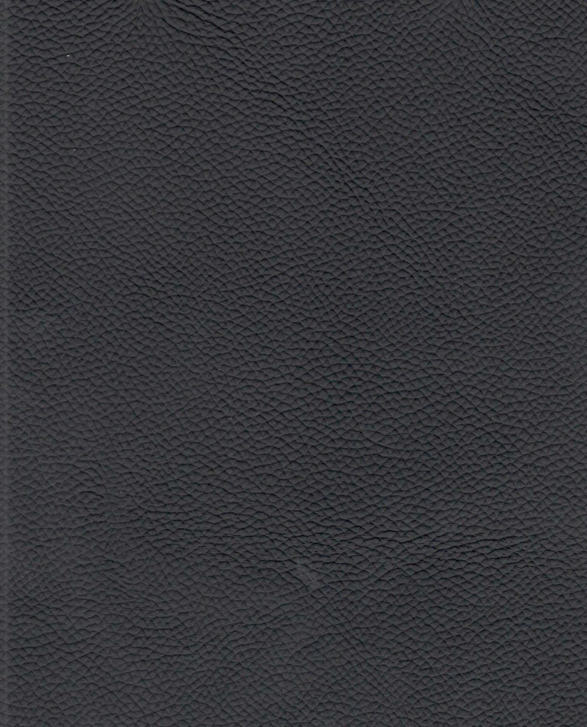 SCHWINGSTUHL    Echtleder  - Schwarz, Design, Leder/Metall (46/97/58cm) - Novel
