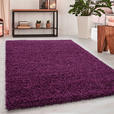 HOCHFLORTEPPICH 200/290 cm Dream 4000 Lila  - Lila, KONVENTIONELL, Textil (200/290cm) - Novel