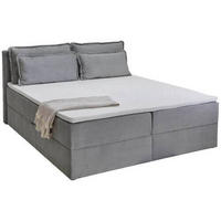 Pat Boxspring, 180/200 cm, gri deschis - gri deschis/negru, Basics, plastic/textil (180/200cm)