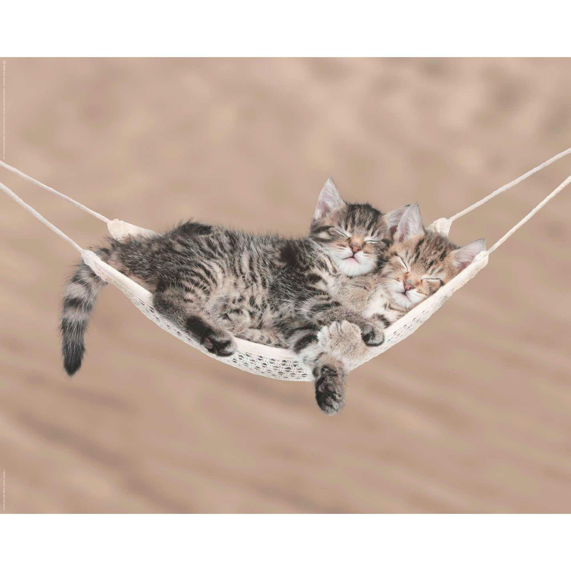 POSTER 40/50 cm  - Multicolor, KONVENTIONELL, Papier (40/50cm) - Reinders!