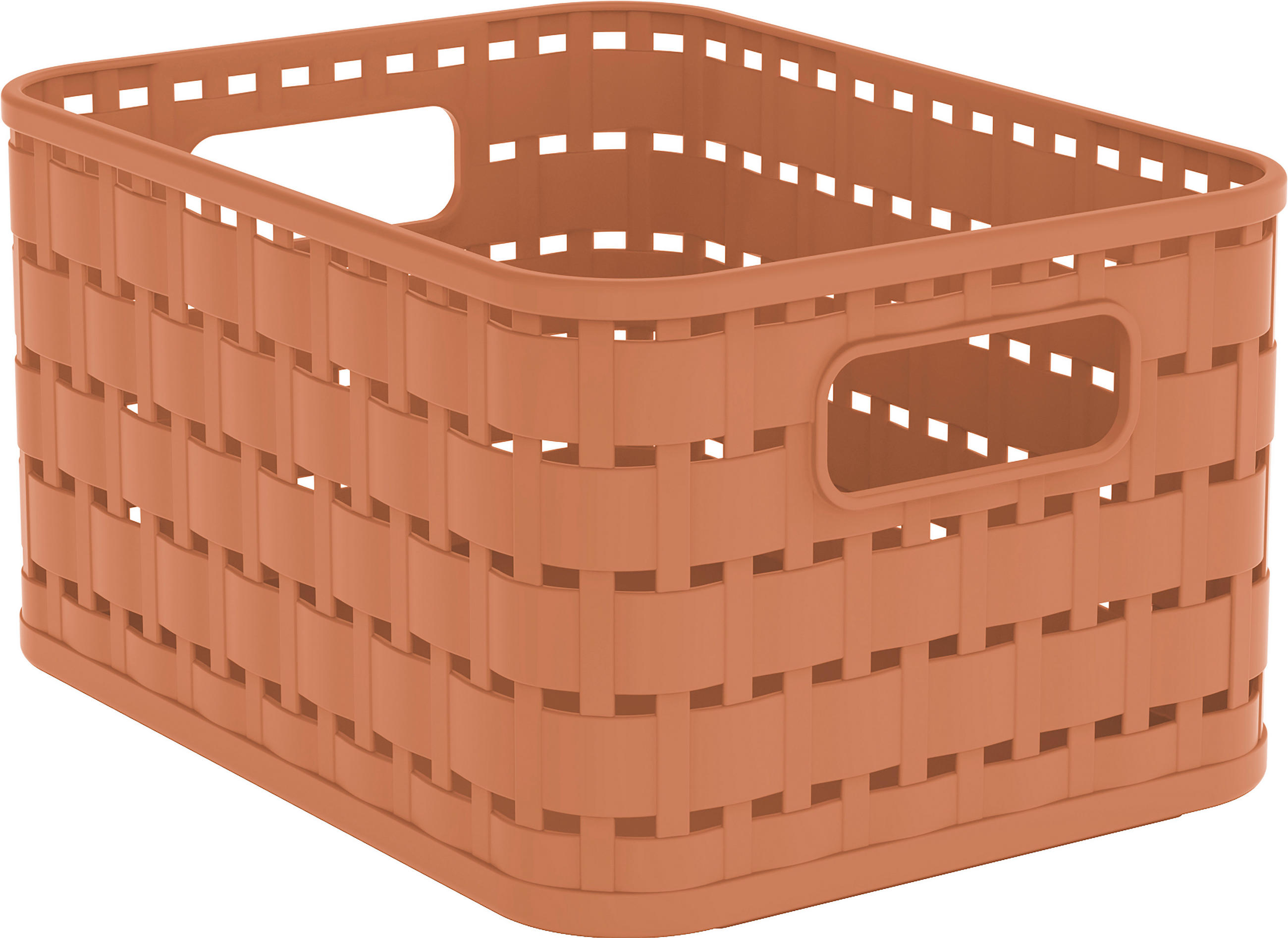 AUFBEWAHRUNGSBOX     - Koralle, Basics, Kunststoff (13,7/9,8/18,3cm) - Rotho