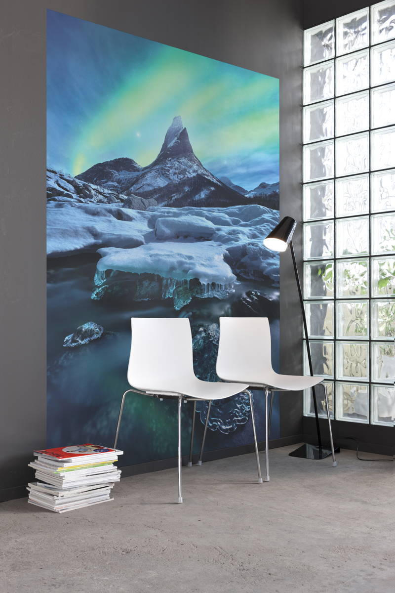 VLIESTAPETE  - Natur (200/250cm) - Komar