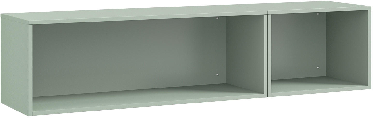 WANDREGAL Salbeigrün  - Salbeigrün, Design, Holzwerkstoff (150/35,2/40cm) - Cantus