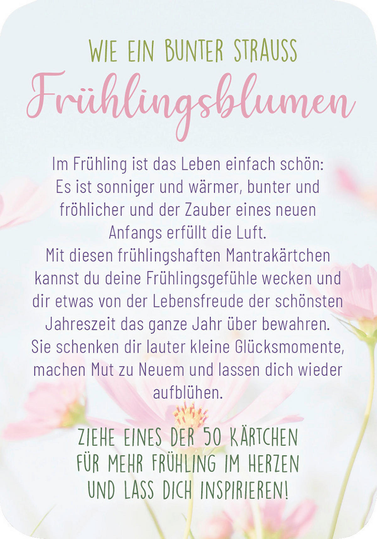 BUCH  - Multicolor, Basics, Papier (7,2/10,2/1,6cm)