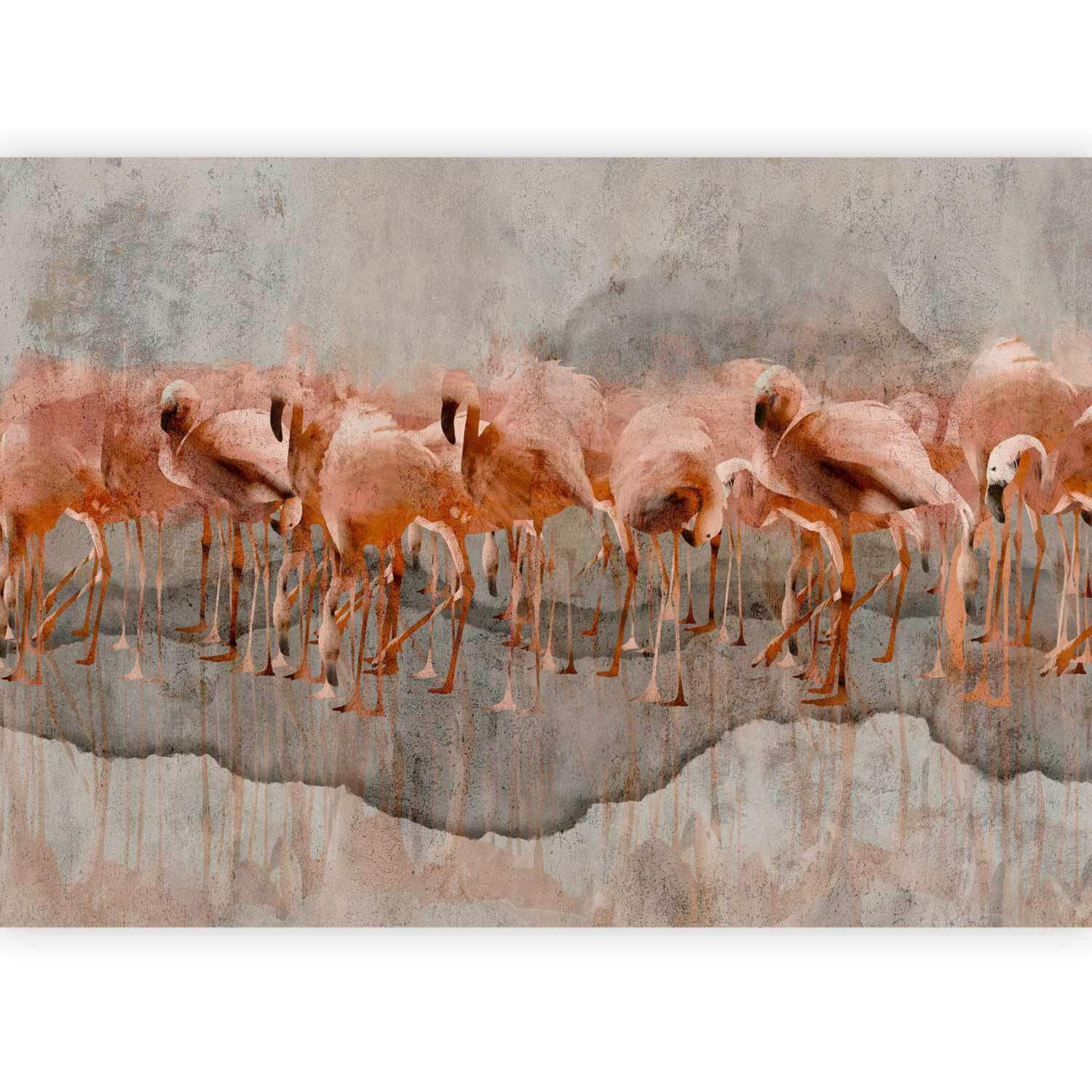 artgeist Fototapete Grau, Koralle 300x210 cm