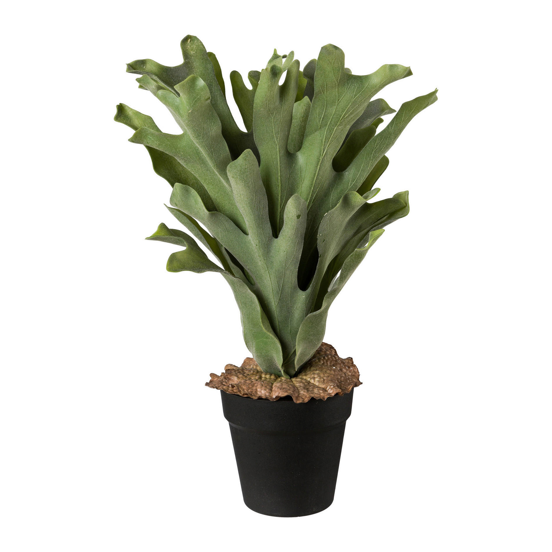 KUNSTPFLANZE 45 cm  - Schwarz/Grün, Basics, Kunststoff (45cm)