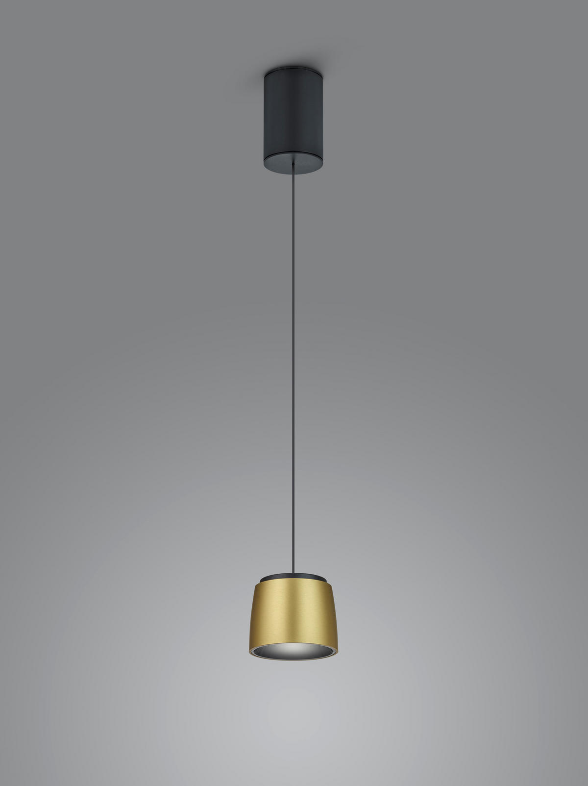 LED-HÄNGELEUCHTE 9,5/165,5 cm   - Goldfarben/Schwarz, Design, Metall (9,5/165,5cm) - Helestra