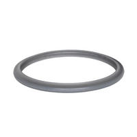 DICHTUNGSRING  22 cm  - Grau, Basics, Kunststoff (22cm) - Riess