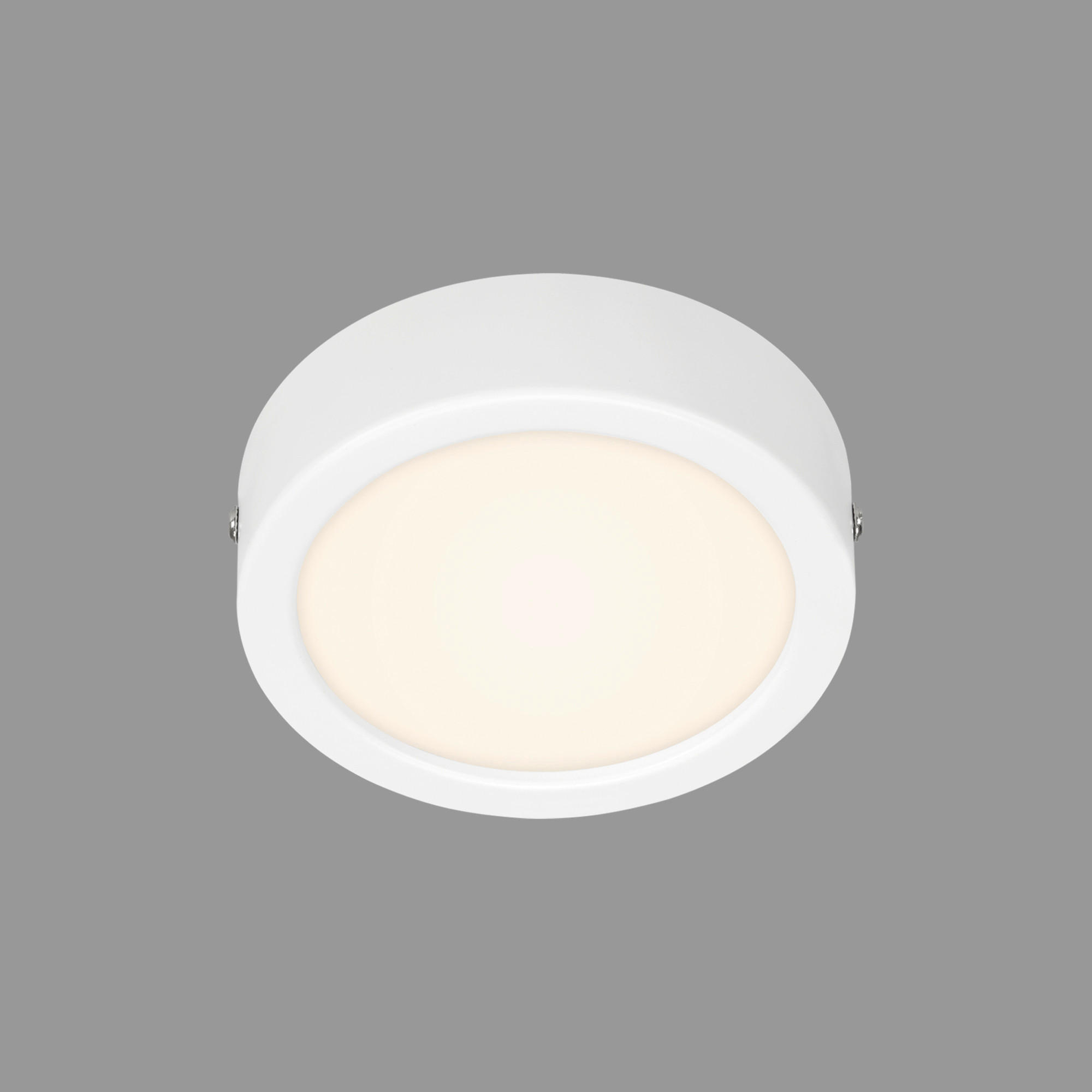 STROPNÉ LED SVIETIDLO, 12,0/3,2 cm  - biela, Design, plast (12,0/3,2cm)