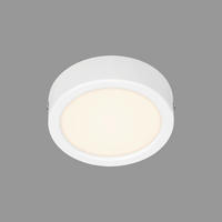 STROPNÉ LED SVIETIDLO, 12,0/3,2 cm  - biela, Design, plast (12,0/3,2cm)
