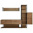 WOHNWAND in Schwarz, Eichefarben - Eichefarben/Schwarz, KONVENTIONELL, Holz/Holzwerkstoff (281,8/206,2/38cm) - Cantus WOHNWAND in Schwarz, Eichefarben - Eichefarben/Schwarz, KONVENTIONELL, Holz/Holzwerkstoff (281,8/206,2/38cm) - Cantus