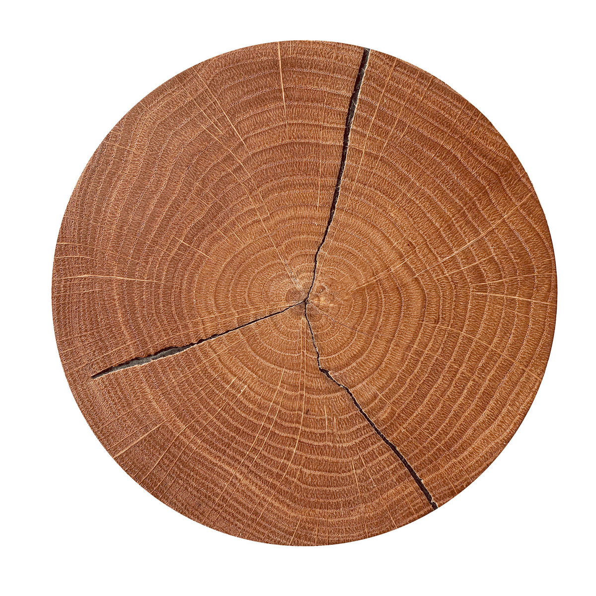 LED-WANDLEUCHTE Hirnholz 34/10 cm   - Eichefarben, Natur, Holz (34/10cm)