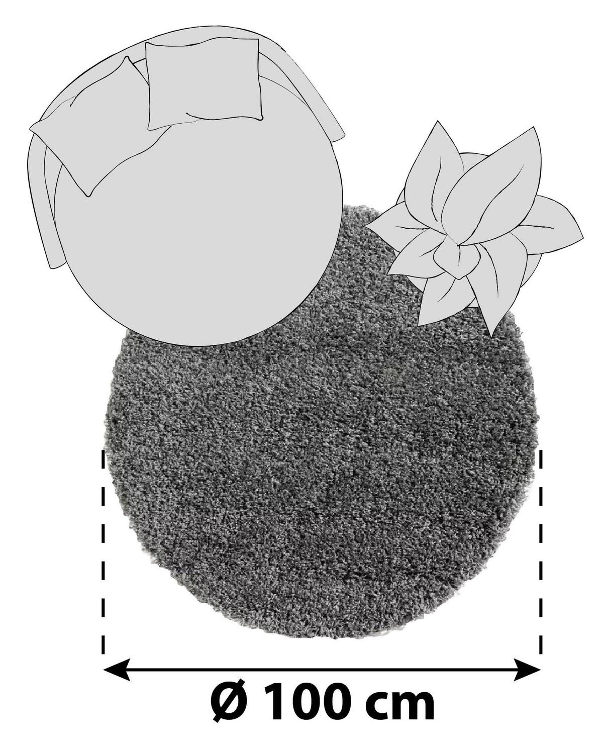 HOCHFLORTEPPICH 100 cm Fashion Shaggy  - Grau, Basics, Textil (100cm) - Novel