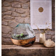 VASE 40 cm  - Klar/Teakfarben, LIFESTYLE, Glas/Holz (45/40cm) - Ambia Home