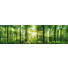 ACRYLGLASBILD - Multicolor, KONVENTIONELL, Kunststoff (50/180/3,5cm) - EUROGRAPHICS