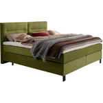BOXSPRINGBETT 200/220 cm  in Grün  - Schwarz/Grün, KONVENTIONELL, Textil/Metall (200/220cm) - Esposa