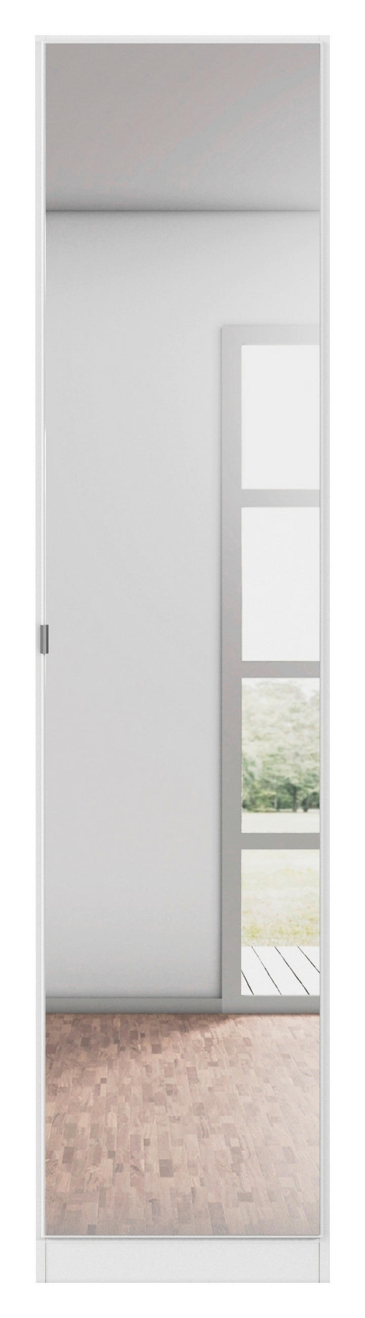 DREHTÜRENSCHRANK 47/197/54 cm,  in Weiß, 1-türig  - Alufarben/Weiß, KONVENTIONELL, Glas/Holzwerkstoff (47/197/54cm) - home24