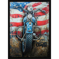 KUNSTDRUCK Fahrzeuge, Stillleben, Flaggen 80/110 cm  - Multicolor/Schwarz, LIFESTYLE, Glas/Holzwerkstoff (80/110cm) - Monee