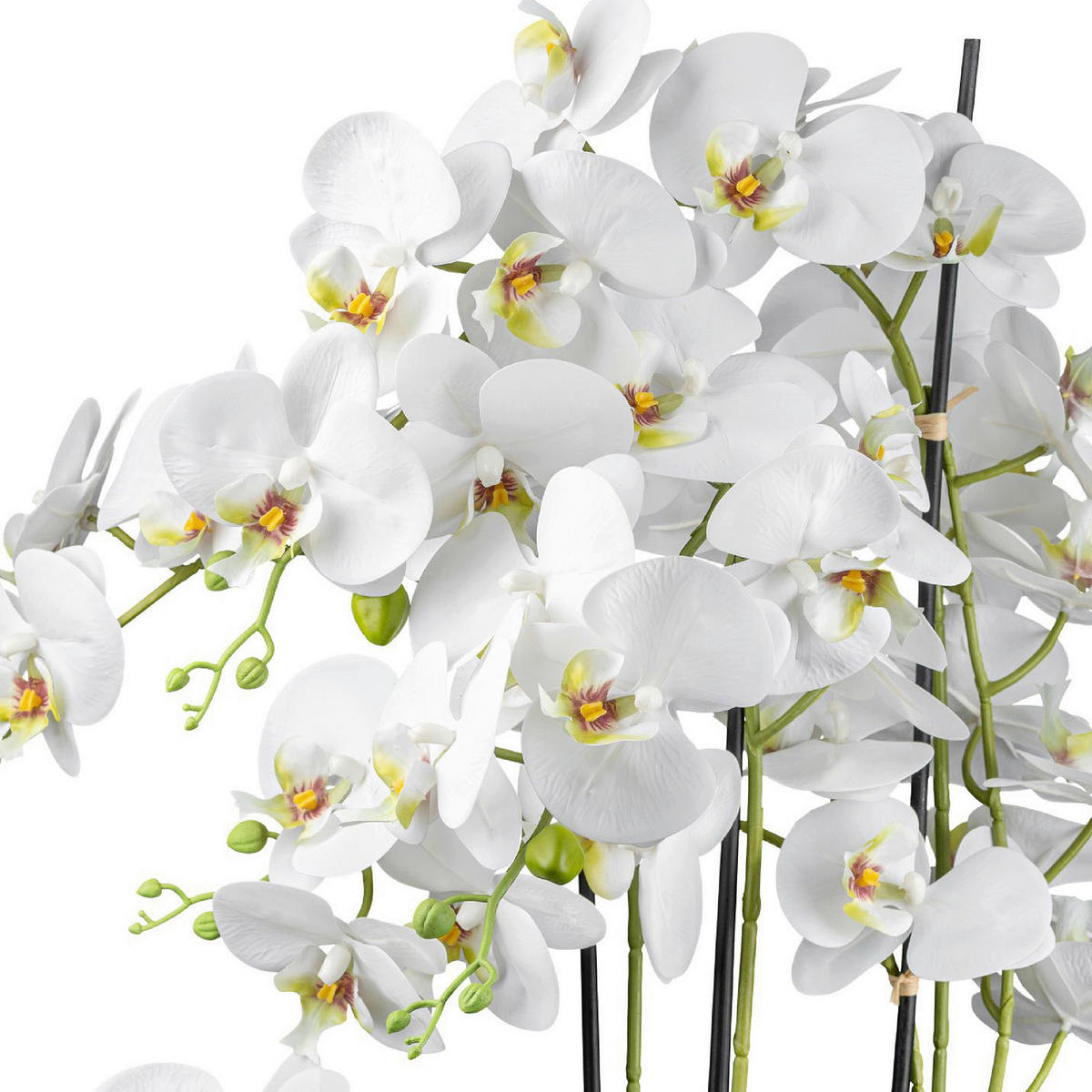 KUNSTPFLANZE Orchidee 63 cm  - Weiß/Grün, Design, Keramik/Kunststoff (63cm) - P & B
