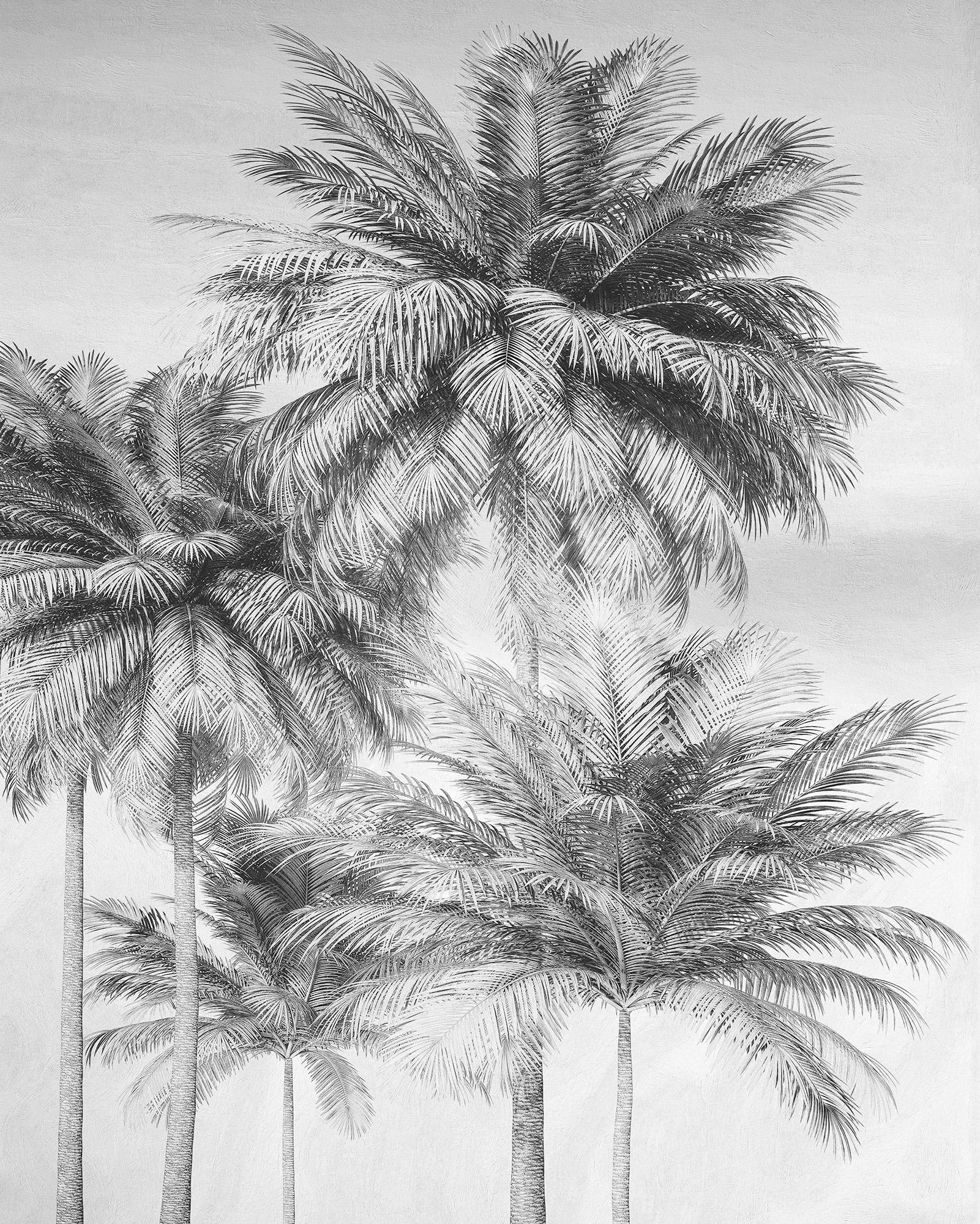 Xora Vliestapete Schwarz, Weiß 200x250 cm