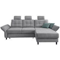 ECKSOFA Chenille Silberfarben  - Mintgrau/Silberfarben, Modern, Holz/Textil (250-280/176cm) - Livetastic