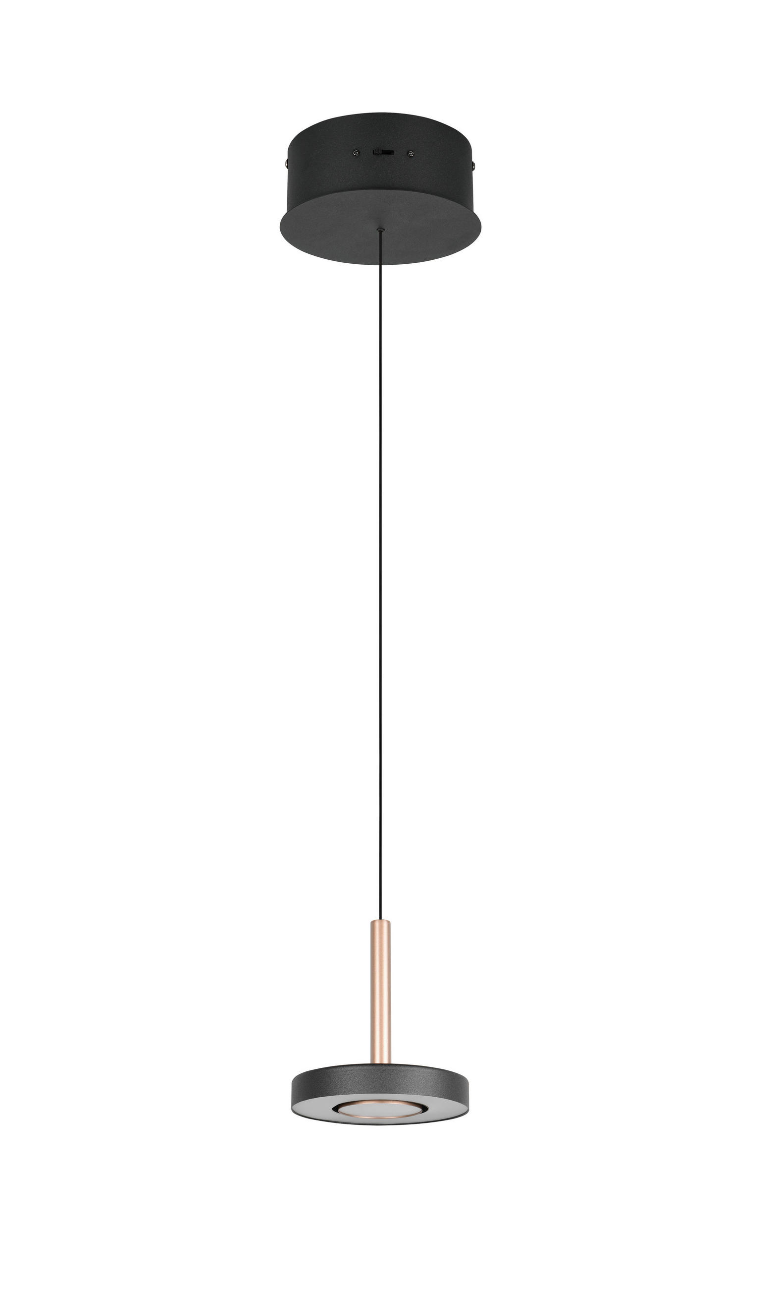 Trio Leuchten Led-Hängeleuchte Guano Braun, Schwarz 200 cm