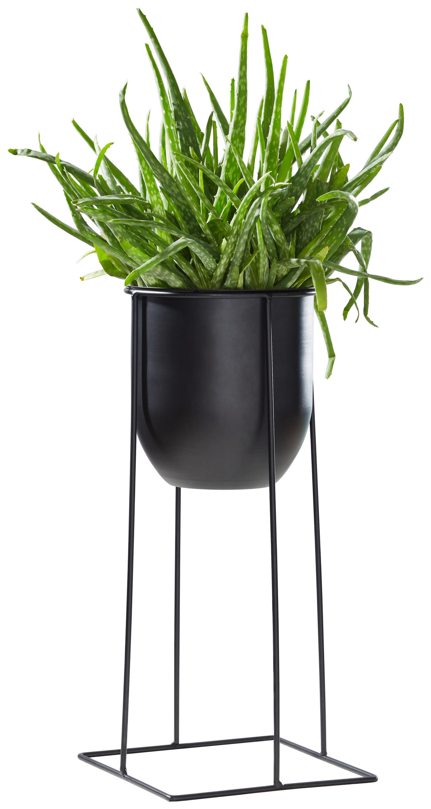 BLUMENTOPF   - Schwarz, Basics, Metall (19/40cm) - Ambia Home
