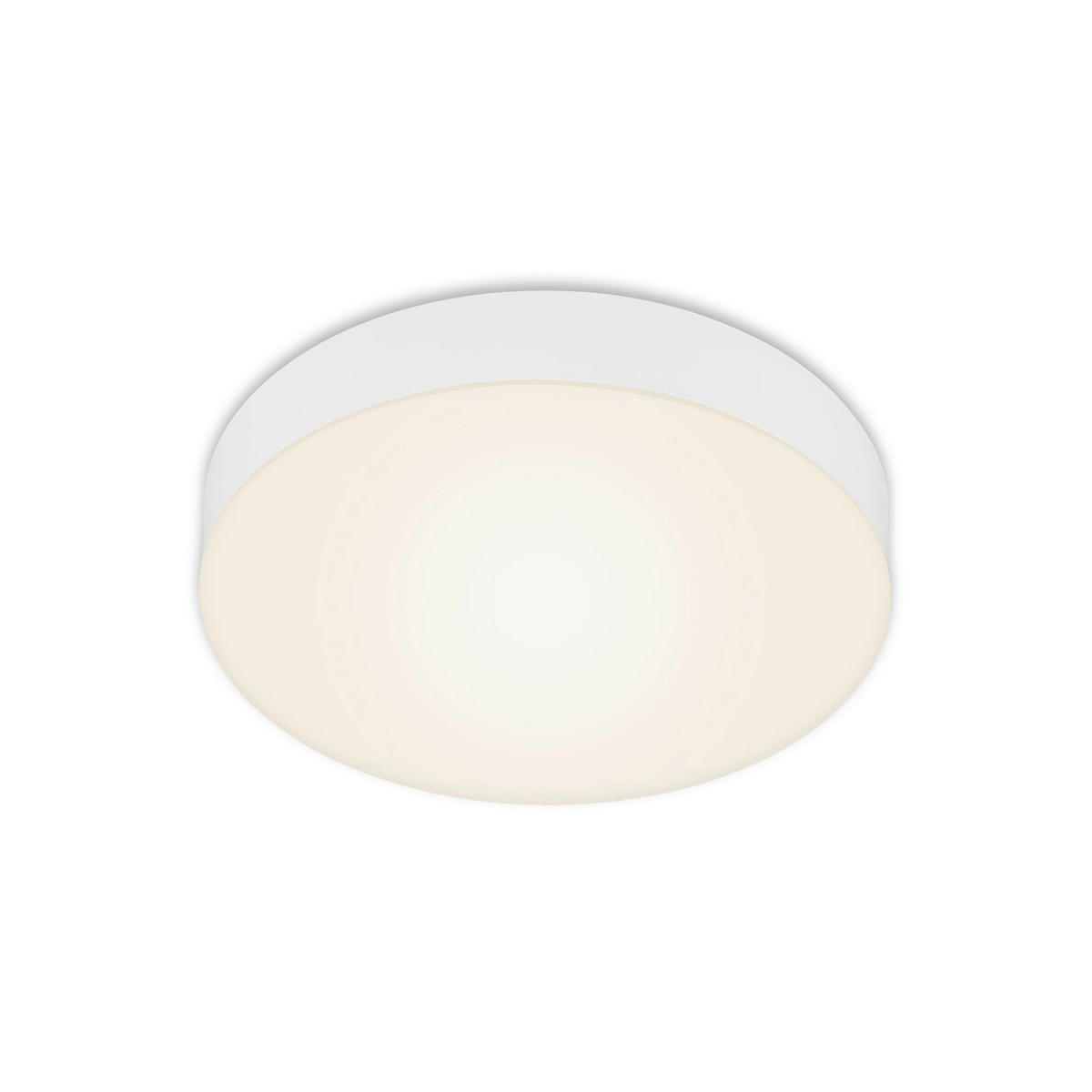 LED PLAFONJERA - bela, Osnovno, metal/plastika (21,2/3,6cm)