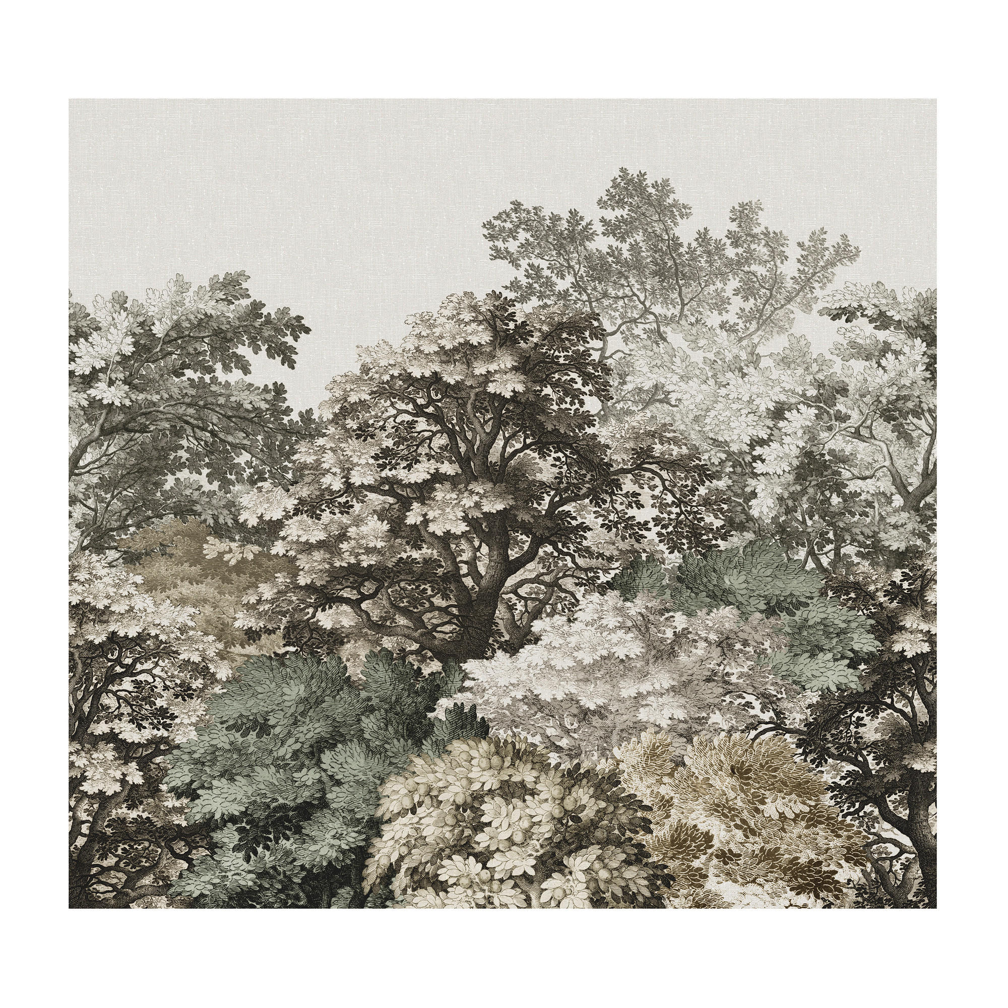 Xora Fototapete Taupe 300x280 cm