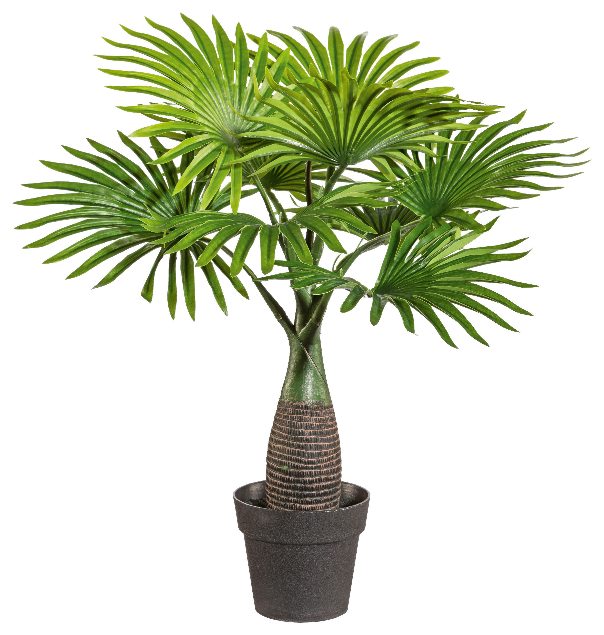 KUNSTPFLANZE 45 cm  - Schwarz/Braun, Design, Kunststoff (45cm) - P & B