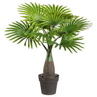 KUNSTPFLANZE 45 cm  - Schwarz/Braun, Design, Kunststoff (45cm) - P & B