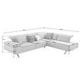 ECKSOFA Biella in Echtleder Hellgrau  295/231 cm  - Dunkelgrau/Anthrazit, Design, Leder/Metall (295/231cm) - Johann Jakob