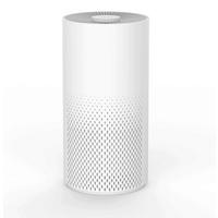 LUFTREINIGER - Weiss, Basics, Kunststoff (20/39/20cm) - P & B