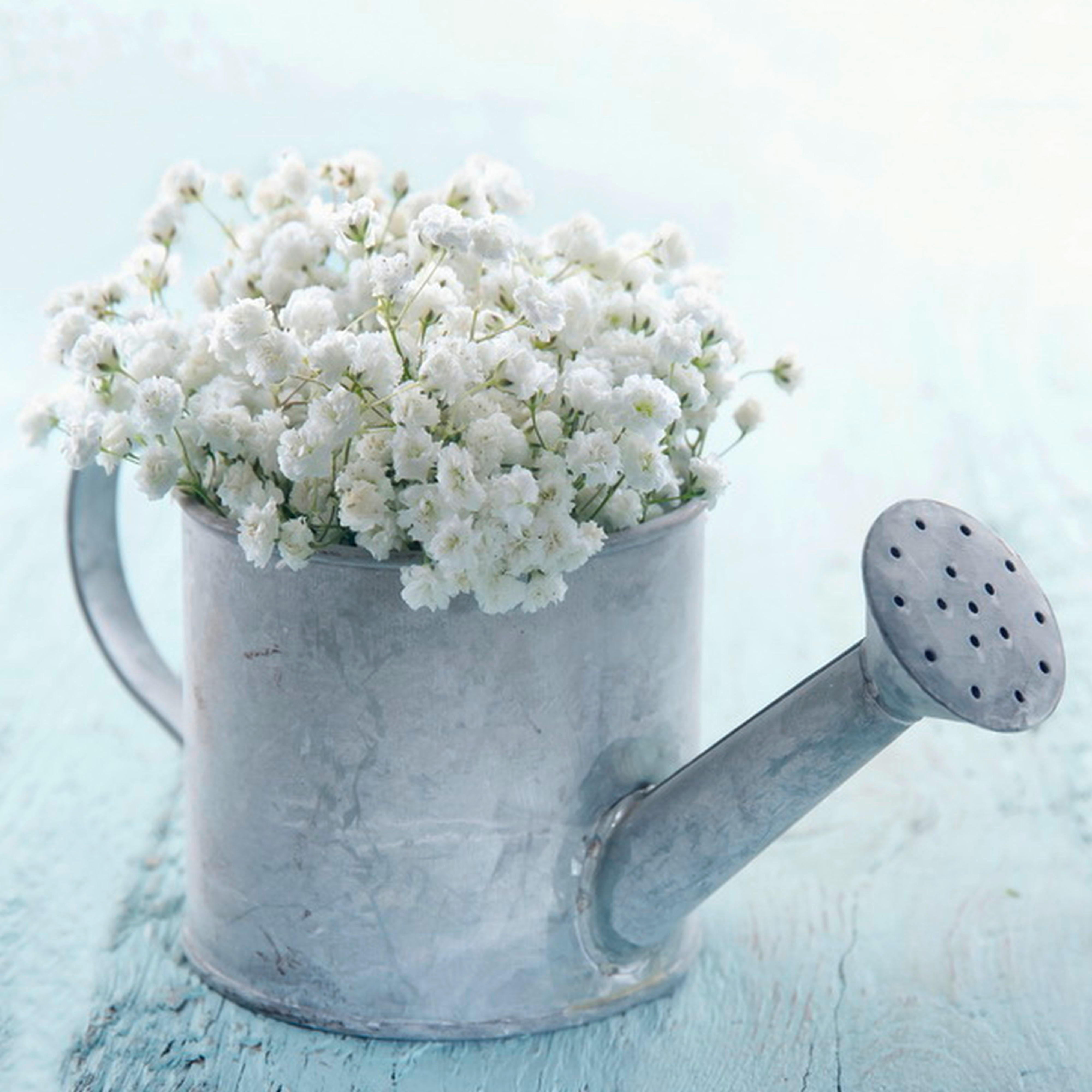 Monee UMELECKÁ TLAČ, kvety, 28/28 cm - biela, farby hliníka